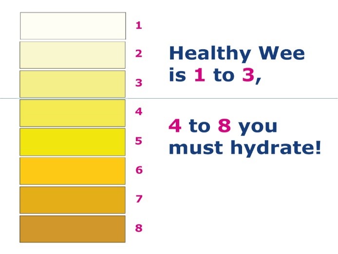 Urine hydration chart